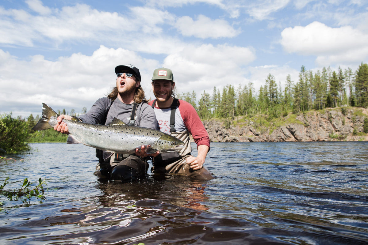 Två sportfiskare i vadare håller upp en lax i älven vid Camp Onka i Lappland