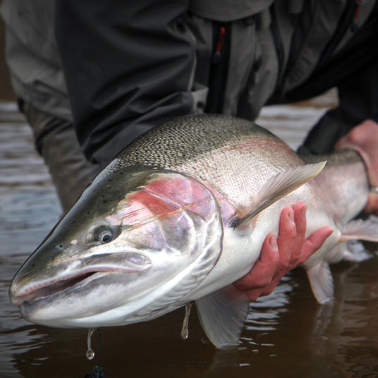 En sportfiskare håller stolt upp en nyfångad stor fisk med silvriga fjäll vid vattnet efter en lyckad fiskeresa.