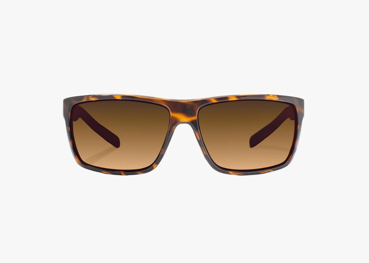 Bajio Sigs - Glass - Brown Tort Gloss Copper