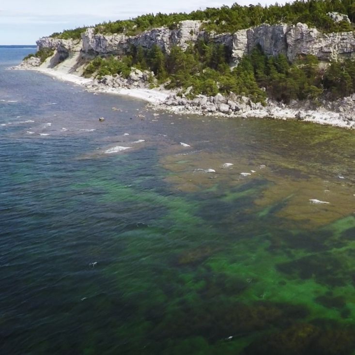 En kustklippa med täta gröna träd reser sig över stenig strand och blågrönt vatten - perfekt för sportfiske och naturupplevelser.