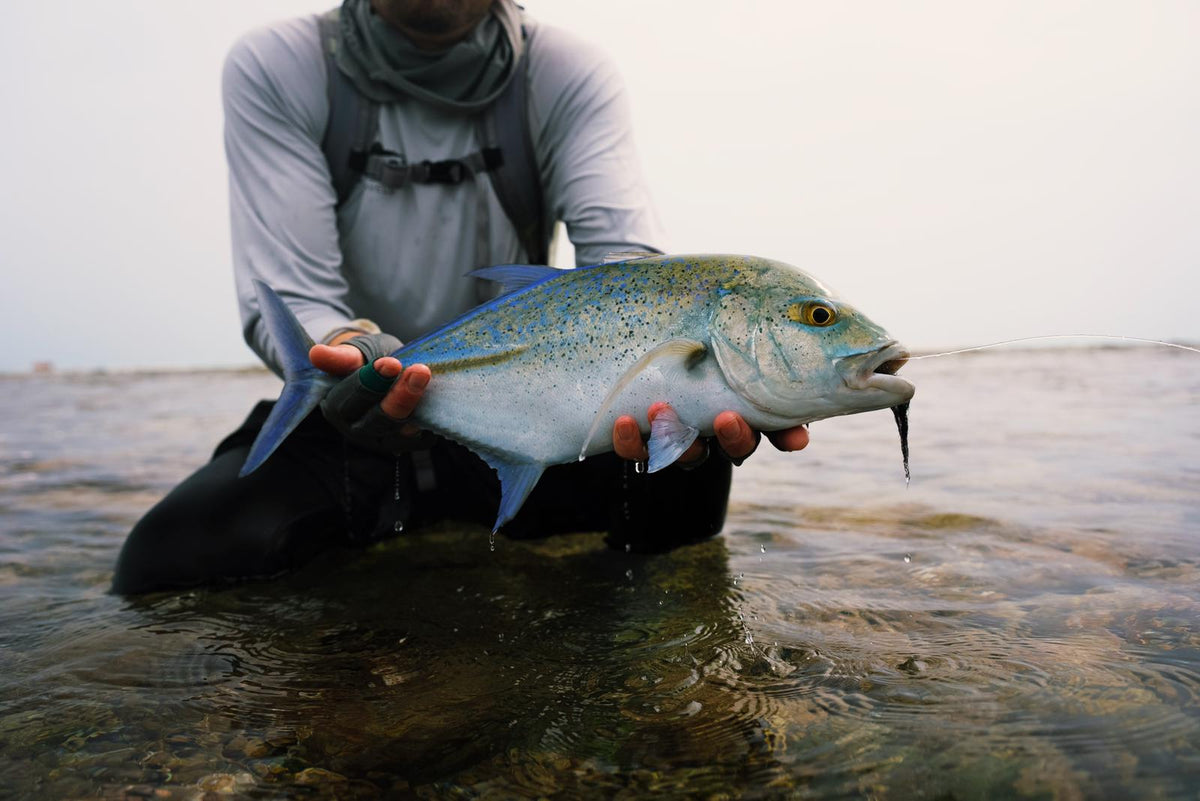 Sportfiskare i fiskeutrustning knäböjer i grunt vatten och håller upp stor blågul fisk med bete, perfekt för fiskeresa.