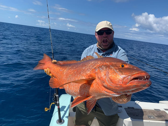 Fångst av stor fisk under tropisk fiskeresa i Costa Rica
