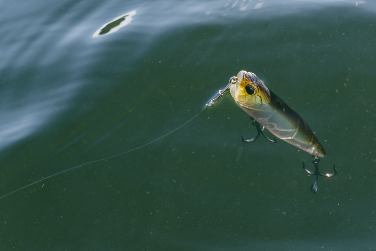 Ett fiskedrag som liknar en liten fisk flyter på mörkgrönt vatten, upphängt i en lina-en klassisk syn på fiskeresa.