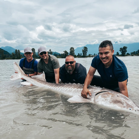 Fyra leende sportfiskare visar upp en stor fångst vid Fraser River, Kanada. Berg och skog i bakgrunden. Fiskeresa deluxe.