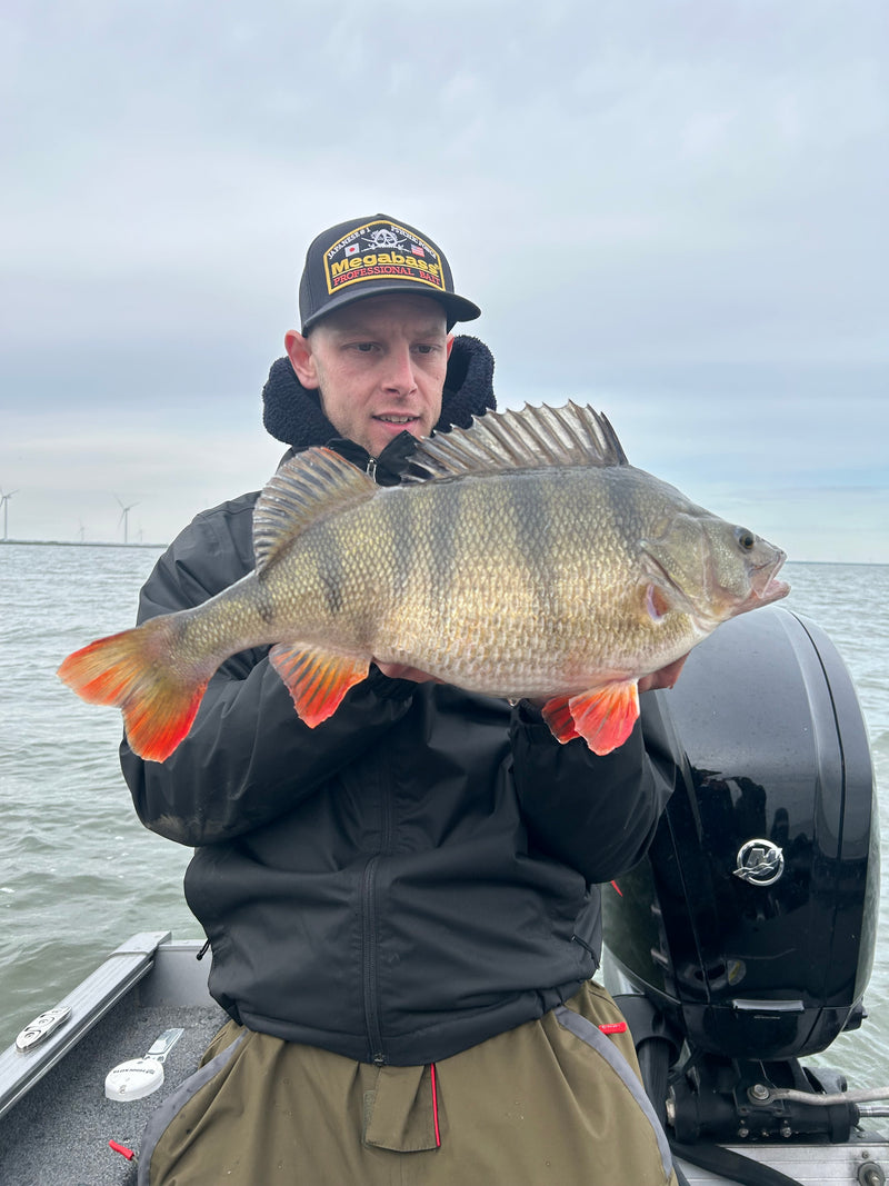 En sportfiskare i svart jacka och mössa håller en stor randig fisk på en båt, vatten och vindkraftverk syns i bakgrunden.
