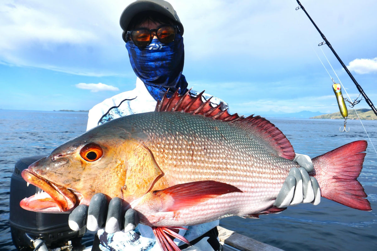 Red Snapper fångad under jigging i Komodo, Indonesien.