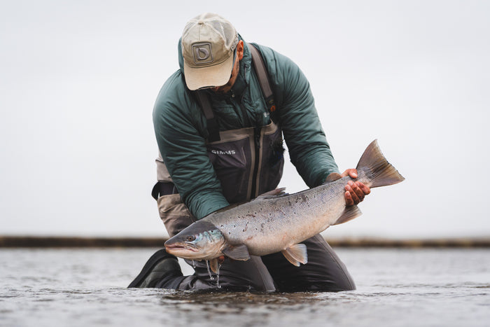 En person på fisketur, klädd i friluftskläder och med en keps på huvudet, knäböjer i grunt vatten och håller en stor fisk med båda händerna. Bakgrunden är suddig och himlen är mulen.