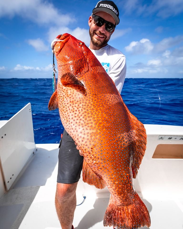 Fiskare håller upp grouper ombord på liveaboard vid Rodrigues Ilands