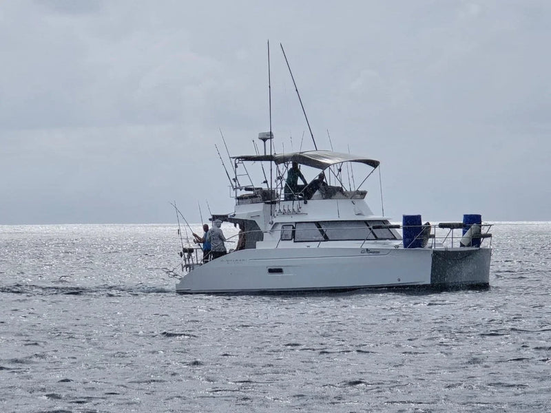 En vit katamaran med fiskespön glider fram på lugnt hav under en fiskeresa. Två sportfiskare syns ombord under molnig himmel.