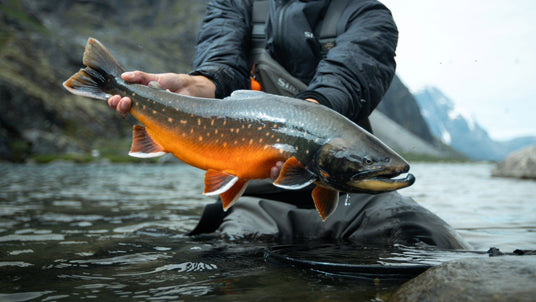 Sportfiskare i vadarutrustning håller en stor laxart i grunt vatten, med berg och molnig himmel under minnesvärd fiskeresa.